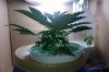 IMAG0089.jpg
