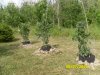 SDC12874.jpg
