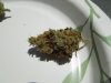 6.27.12BWC.jpg