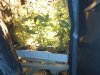 downsized_0129111444.jpg