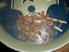 100_2547.jpg
