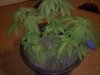 20120624210706.jpg 20120624210706.jpg