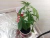 20120628_170352.jpg