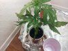 20120628_170403.jpg