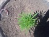2012-06-28 15.26.46.jpg