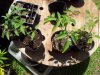 2012-06-18 11.03.55.jpg