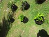 2012-06-18 11.04.22.jpg