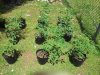 2012-06-18 11.04.47.jpg