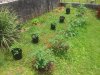 2012-06-24 12.46.42.jpg