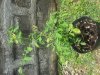 2012-06-24 12.46.57.jpg
