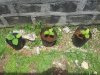 2012-06-24 12.47.12.jpg
