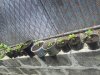 2012-06-24 12.47.30.jpg
