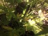 2012-06-20-512.jpg