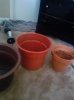 pots.jpg