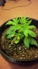 2012-06-30_20-01-57_186.jpg