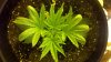2012-06-30_19-32-28_51.jpg 2012-06-30_19-32-28_51.jpg
