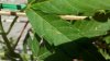 2012-07-01_17-57-50_620.jpg