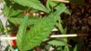 2012-07-01_17-58-23_646.jpg