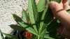 2012-07-01_18-00-22_25.jpg