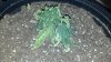 2012-07-01_22-13-12_505.jpg