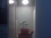 IMG00326.jpg