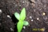 000_0171.jpg