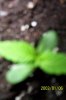 000_0172.jpg
