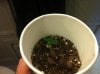 IMG_0503.jpg IMG_0503.jpg
