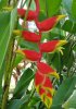 DSC00058.jpg