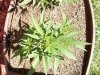100_0712.jpg
