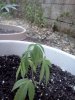 IMG_20120703_200025.jpg