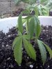 IMG_20120703_195958.jpg