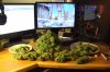 DSCF3219.jpg