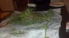 2012-07-06_13-10-14_398.jpg