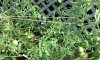 IMG_0505 - Copy.jpg