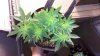2012-06-29_22-13-32_509.jpg