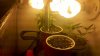 2012-06-27_19-39-26_127.jpg