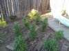 20120705_193126.jpg 20120705_193126.jpg