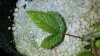 2012-07-08_18-41-33_767.jpg
