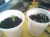 2012-07-09 15.50.42.jpg