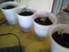 2012-07-09 15.50.58.jpg