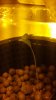 2012-07-09_18-58-16_275.jpg