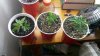 2012-07-09_23-09-55_410.jpg