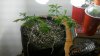 2012-07-09_23-11-08_310.jpg