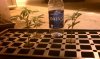 IMAG0013.jpg