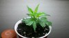 2012-07-10_18-29-16_920.jpg