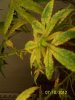 july 11 2012 026.jpg