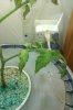 IMAG0139.jpg
