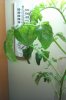IMAG0141.jpg