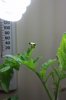 IMAG0142.jpg